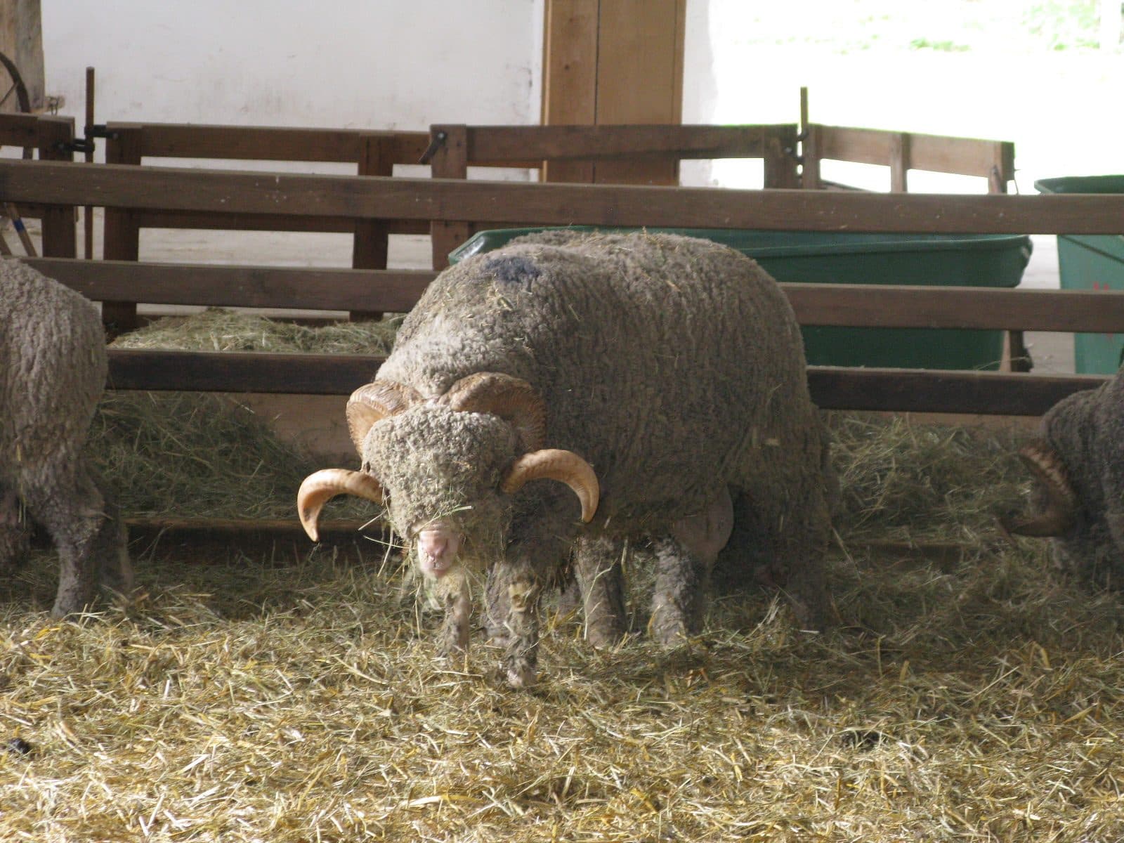 Rambouillet: The Queen's Dairy & the Presidents' Château - Image 3