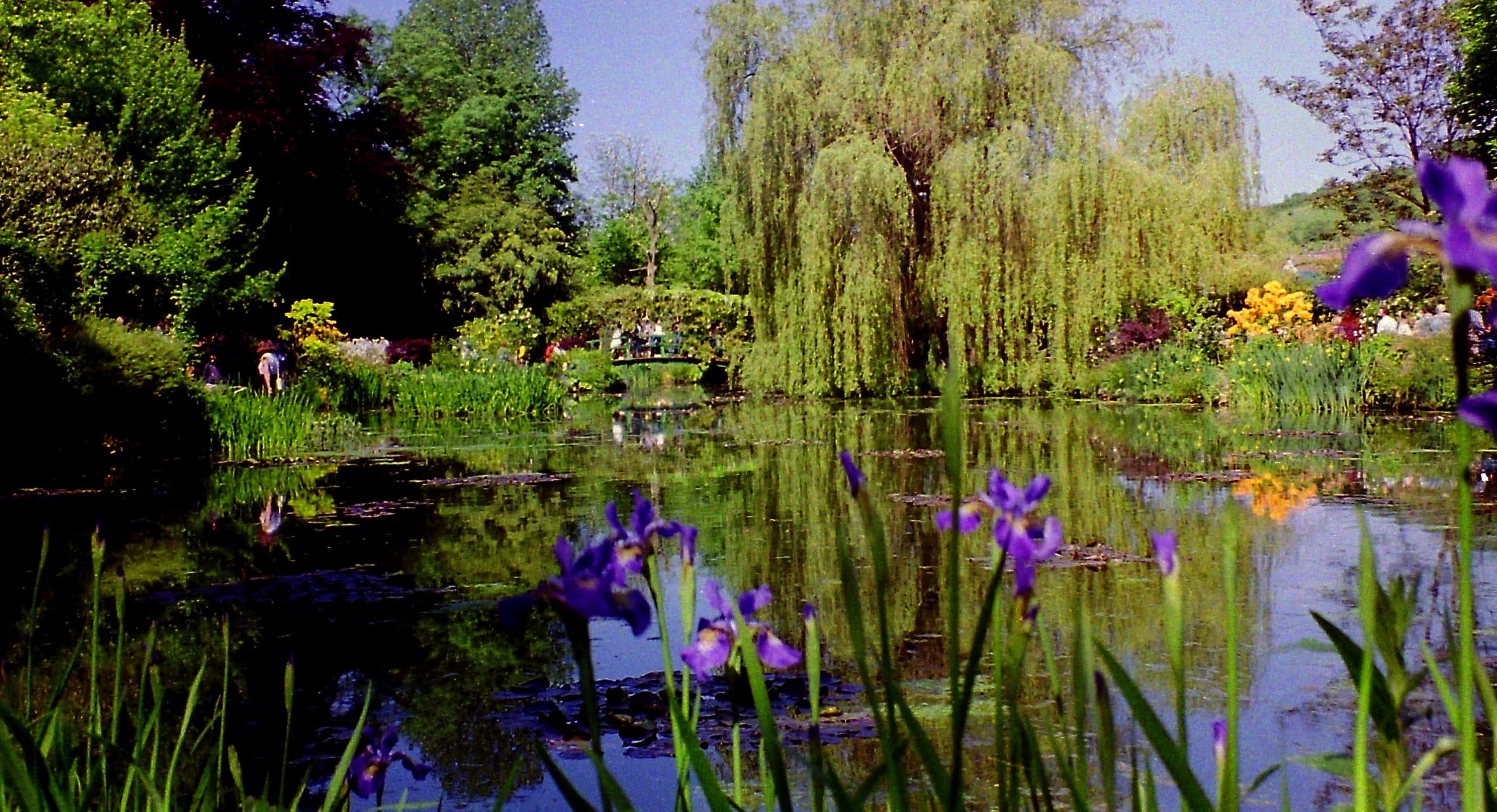 Giverny at Opening Time: Monet's House & Gardens - Image 4